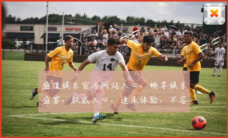 盛煌娱乐官方网站入口，畅享娱乐盛宴，权威入口，速来体验，不容错过