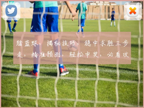 赌蓝球，揭秘技巧，稳中求胜三步走，精准预测，轻松中奖，必看攻略