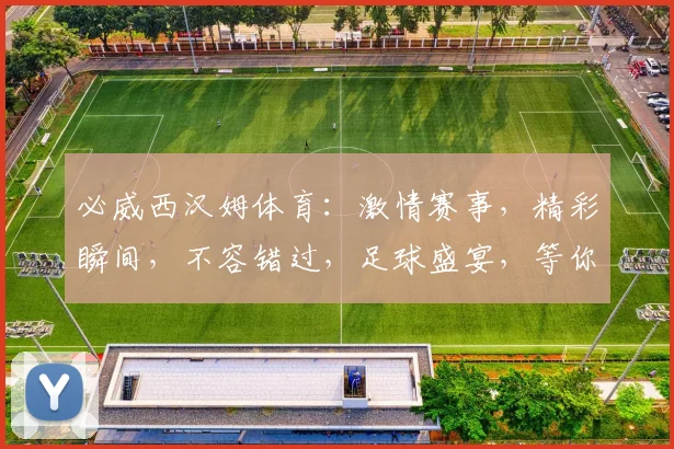 必威西汉姆体育：激情赛事，精彩瞬间，不容错过，足球盛宴，等你来观