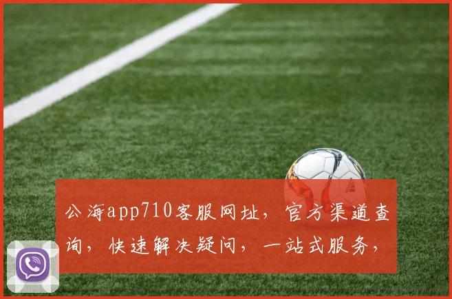 公海app710客服网址，官方渠道查询，快速解决疑问，一站式服务，三步直达