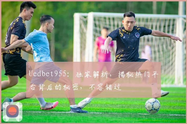 Uedbet955：独家解析，揭秘热门平台背后的秘密，不容错过