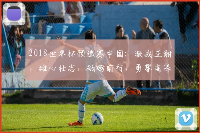 2018世界杯预选赛中国：激战正酣，雄心壮志，砥砺前行，勇攀高峰，共创辉煌